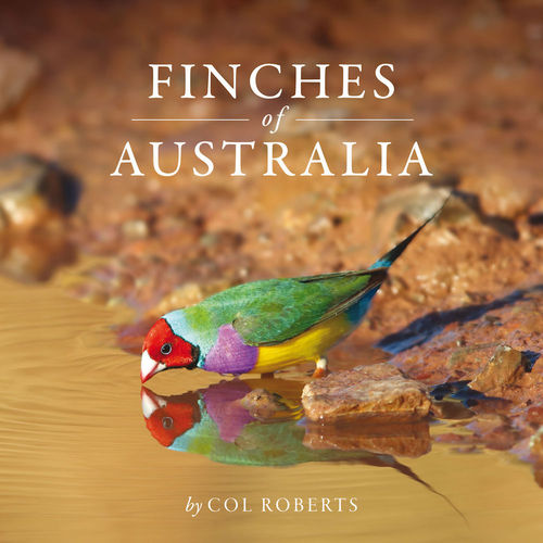 Roberts: Finches of Australia