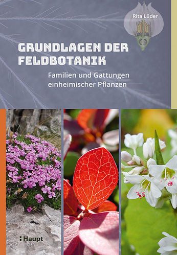 Lüder: Grundlagen der Feldbotanik - Familien und Gattungen einheimischer Pflanzen