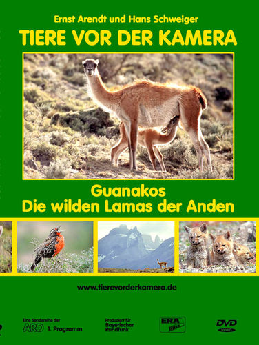 Arendt, Schweiger: Guanakos - Die wilden Lamas der Anden  (Reihe: Tiere vor der Kamera)