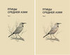 Autorenteam: Птицы Средней Азии Vögel Zentralasiens - Referenzhandbuch] 2 Bände