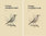 Autorenteam: Птицы Средней Азии Vögel Zentralasiens - Referenzhandbuch] 2 Bände