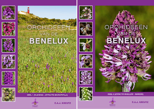 Kreutz: Orchideeën van de Benelux (Die Orchideen der Beneluxländer)