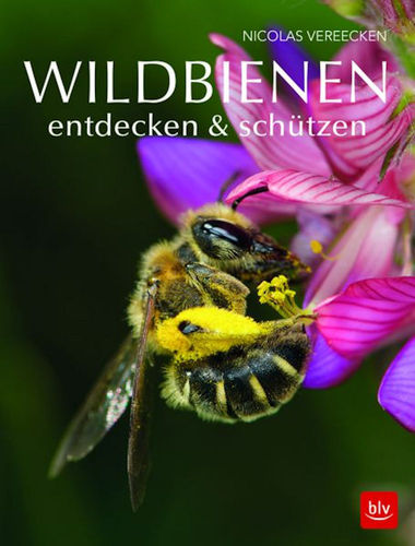 Vereecken: Wildbienen entdecken und Schützen