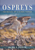 Poole: Ospreys - The Revival of a Global Raptor