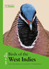 Kirwan, Levesque, Oberle, Sharpe: Birds of the West Indies  (Hardcover)