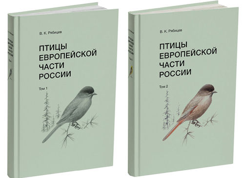 B. K. Рябицева V.K. Ryabitsev Птицы Европейской части России (Vögel des europäischen Teils Rußlands)