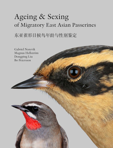 Norevik, Hellström, Liu, Petersson: Ageing and Sexing of Migratory East-Asian Passerines