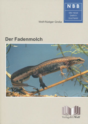 Große: Der Fadenmolch - Lissotriton helveticus