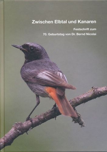 Schmidt, Tolkmitt: Zwischen Elbtal und Kanaren Festschrift zum 70. Geburtstag von Dr. Bernd Nicolai