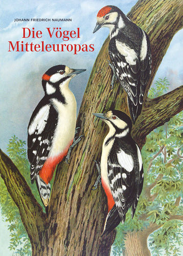 Nottmeyer, Schnitzler Johann Friedrich Naumann: Die Vögel Mitteleuropas