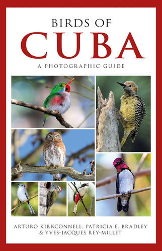 Kirkconnell, Bradley, Rey-Millet:  Birds of Cuba - Photographic Guide