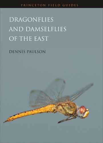Paulson: Dragonflies and Damselflies of the East