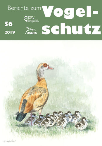NABU (Hrsg.) Mammen, Bellebaum, Herkenrath, Nipkow et al:  Berichte zum Vogelschutz Heft 56