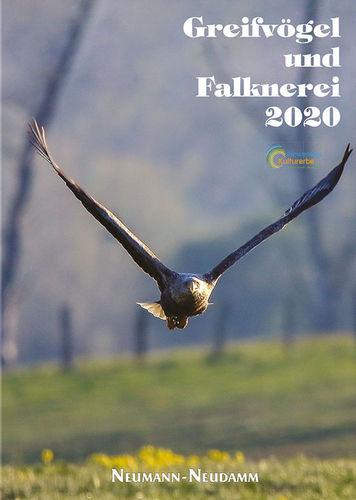 Deutscher Falkenorden Greifvögel und Falknerei 2020: Jahrbuch des Deutschen Falkenordens (DFO)