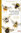 Rasmont, Ghisbain, Terzo Bumblebees of Europe and neighbouring regions - Hymenoptera of Europe