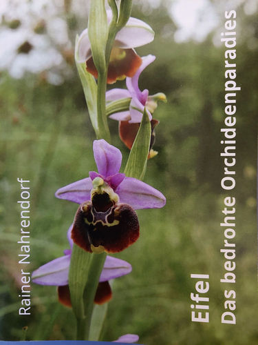 Nahrendorf: Eifel – Das bedrohte Orchideenparadies