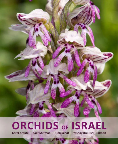 Kreutz, Shifman, Schot, Talmon: Orchids of Israel
