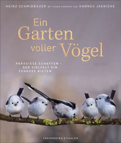 Schmidbauer: Ein Garten voller Vögel Paradiese schaffen – Der Vielfalt ein Zuhause bieten