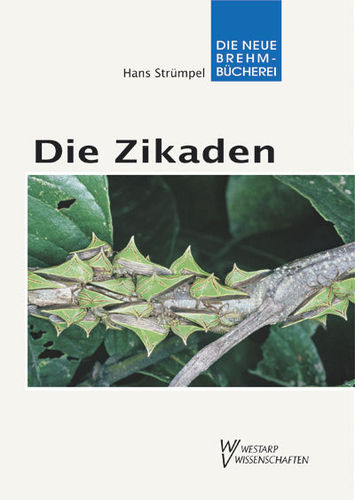 Strümpel: Die Zikaden - Auchenorrhyncha - Pflanzensaugende Insekten, Band 6