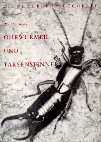 Beier: Ohrwürmer und Tarsenspinner - Dermaptera - Embioptera