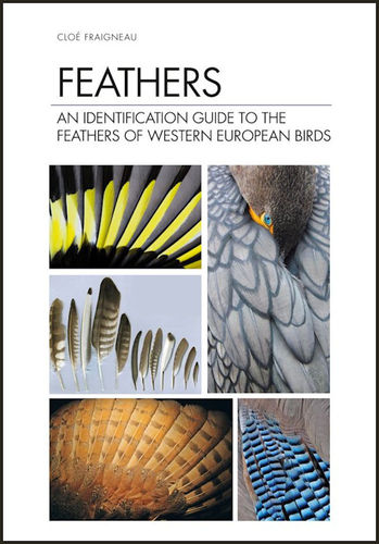 Fraigneau: Feathers An Identification Guide to the Feathers of Western European Birds