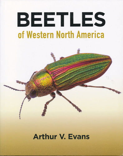 Evans: Beetles of Western North America