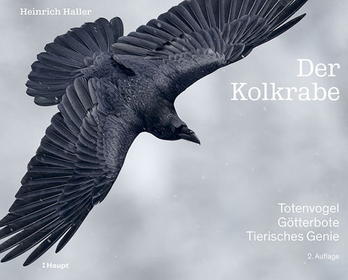 Haller: Der Kolkrabe – Totenvogel, Götterbote, tierisches Genie, 2. Auflage