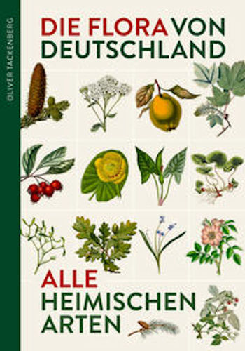 Tackenberg: Die Flora von Deutschland - Alle Heimischen Arten