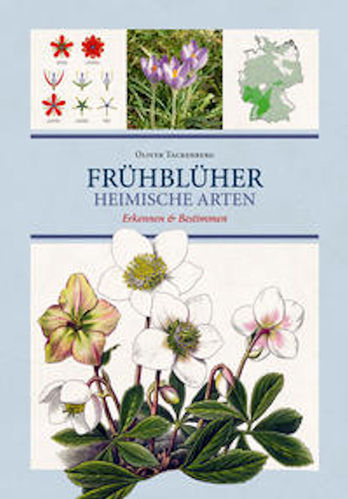 Tackenberg: Frühblüher - Heimische Arten Erkennen & Bestimmen