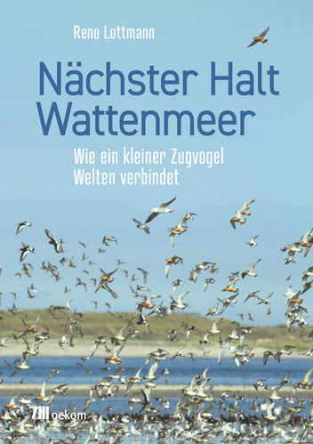Lottmann: Nächster Halt Wattenmeer - Wie ein kleiner Zugvogel Welten verbindet