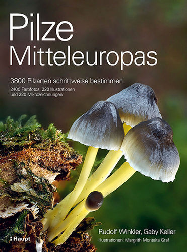 Winkler, Keller, Montalta-Graf:  Pilze Mitteleuropas - 3800 Pilzarten schrittweise bestimmen