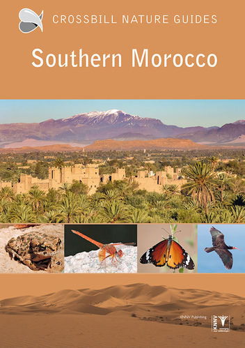 Pitt: Southern Morocco - Crossbill Nature Guide