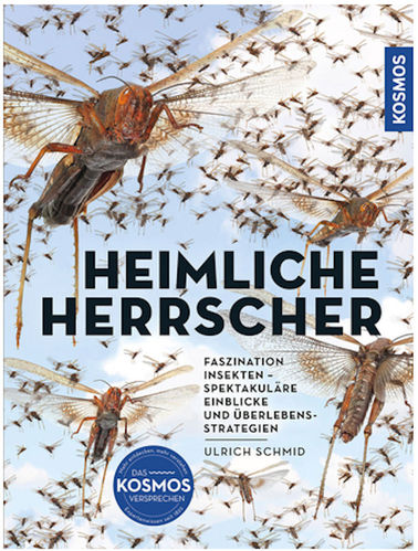 Schmid: Insekten-Heimliche Herrscher Faszination Insekten