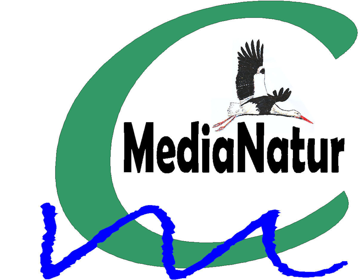 Neues_CMN-Logo